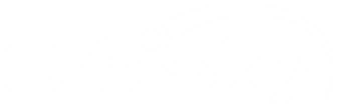 OrbiSky